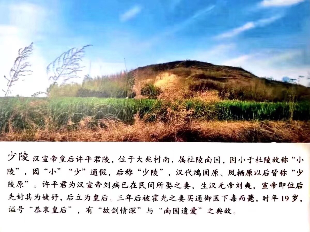 【诗词中国】精品佳作《史海钩沉少陵原》作者:武稳祥(图8)