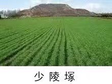 【诗词中国】精品佳作《史海钩沉少陵原》作者:武稳祥(图7)
