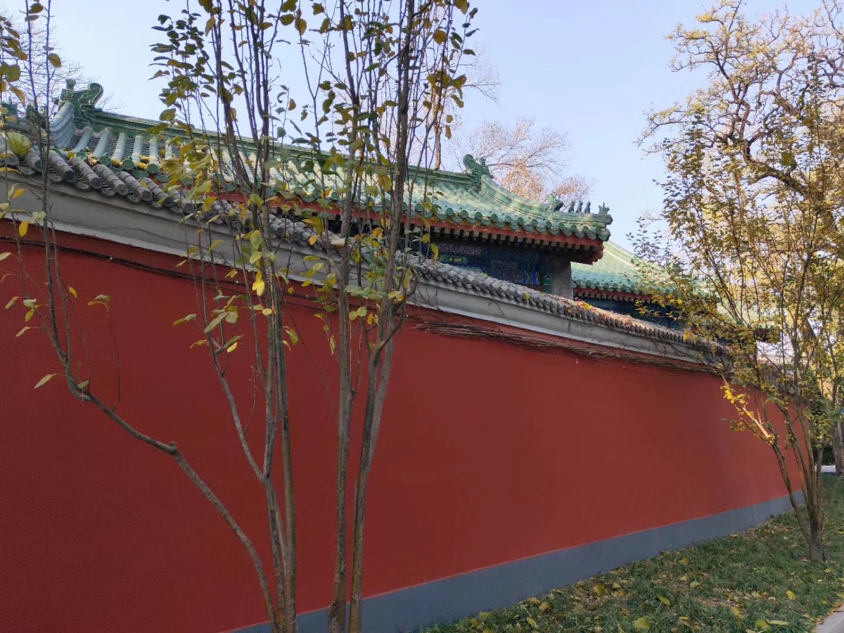《感召的季节》作者：李夫晨 诵读：鲁冰花（图3）