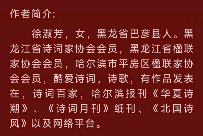 中华诗艺黑龙江分社微刊第179期(图31)