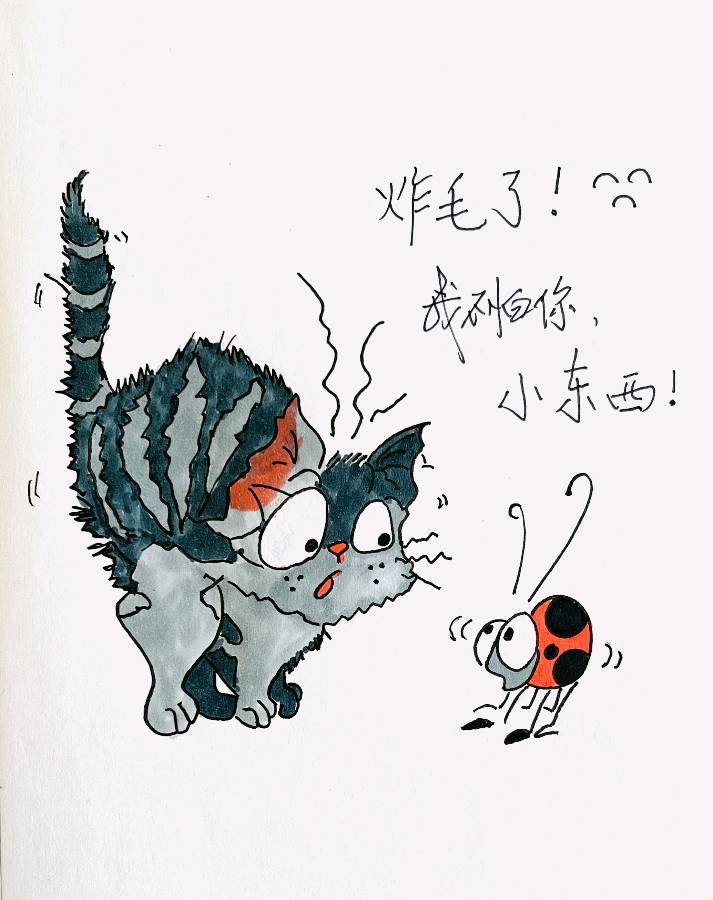 娅莉彩色简笔画第七辑（图6）