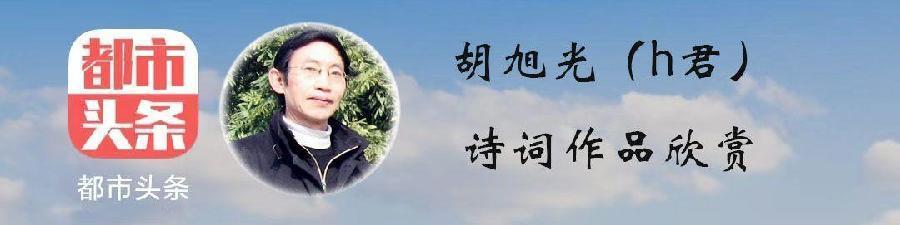 中华诗艺黑龙江分社微刊第180期(图117)