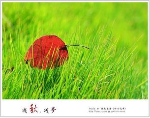 《七律二首》作者:郭小林‖主播:马志宏【中国现代诗歌文化传媒】古韵♬ 展示（图3）