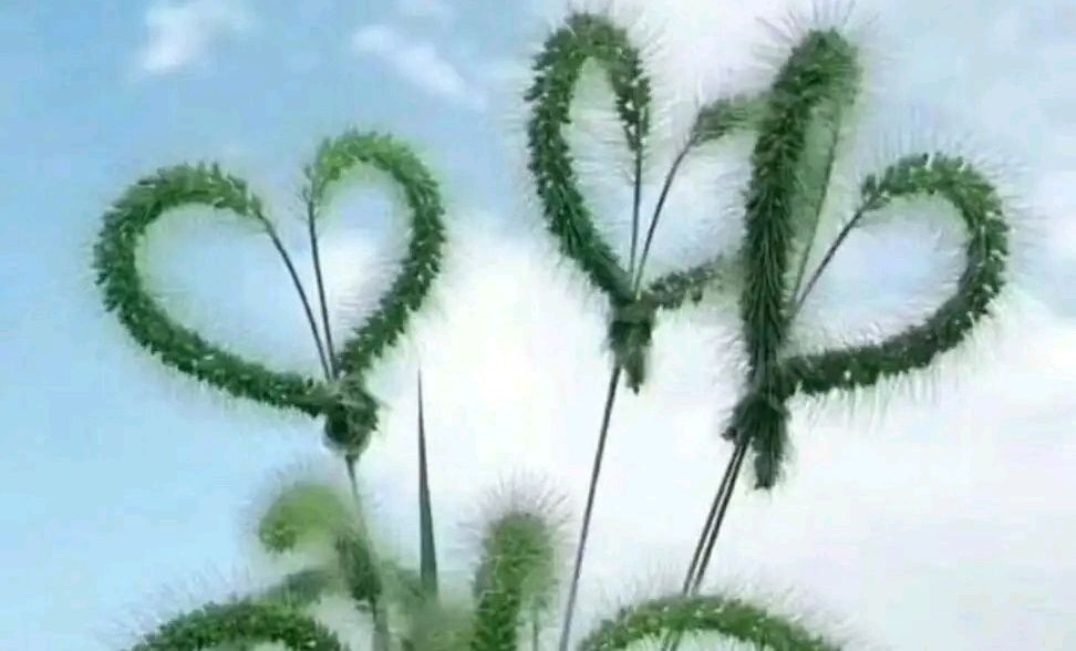 ⭕我还没有爱够~诗║赵梅竹(图15)