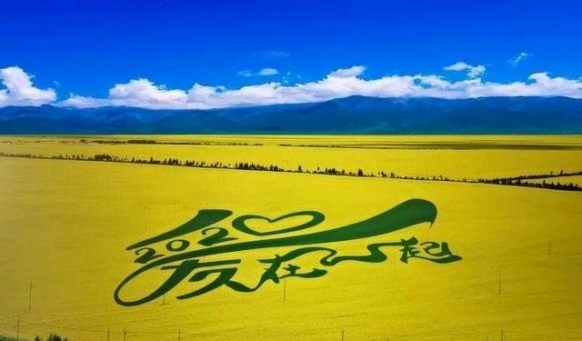 ⭕我还没有爱够~诗║赵梅竹(图14)