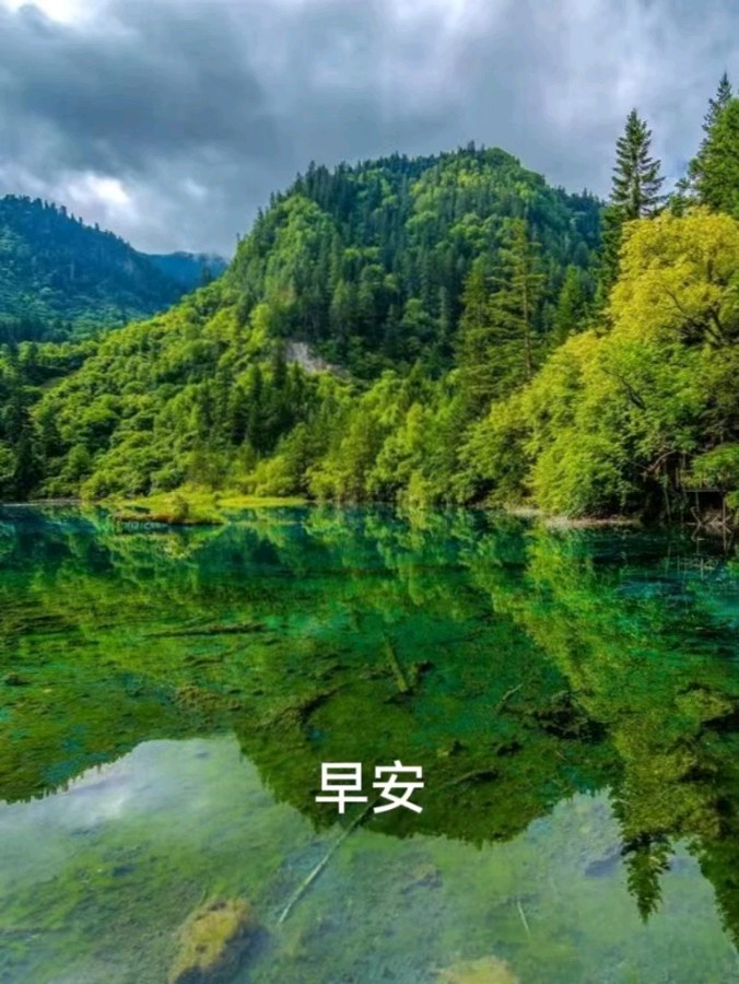 中华诗艺黑龙江分社微刊第181期(图38)