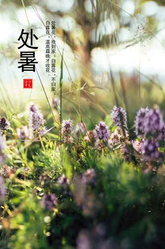 中华诗艺黑龙江分社微刊第181期(图11)