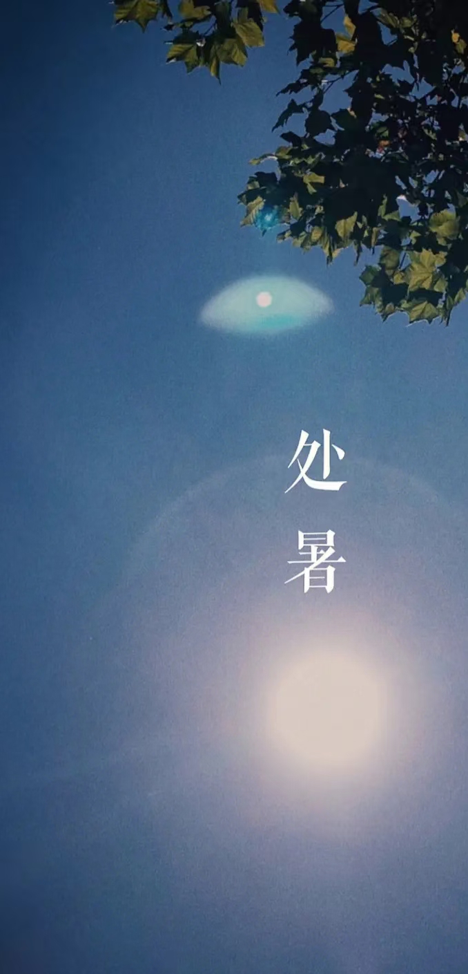癸卯处暑（文/许碧霞）……莲叶之珠文学社（图3）