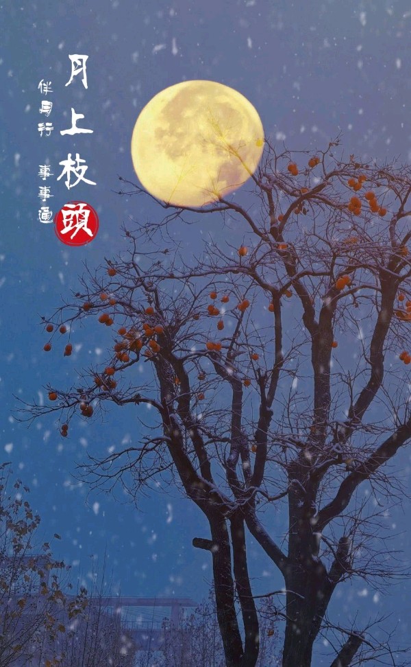 ⭕把爱放飞（组合）诗║标准（图21）