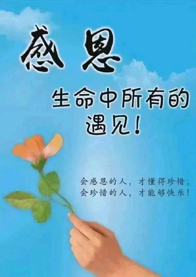 ⭕把爱放飞（组合）诗║标准（图17）