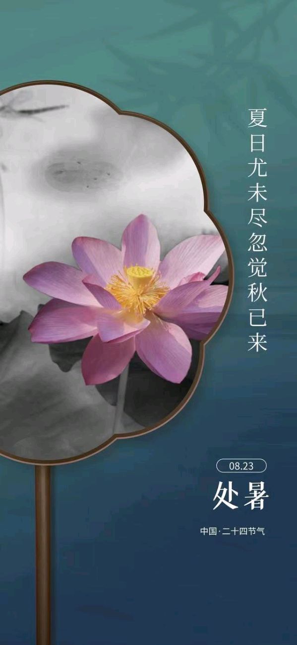 韩庚的《处暑》