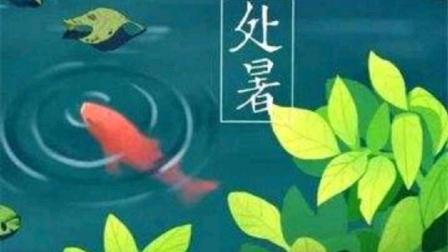 《九江文学社：北京头条》《处暑节气》专刊【总第1784期】（图8）