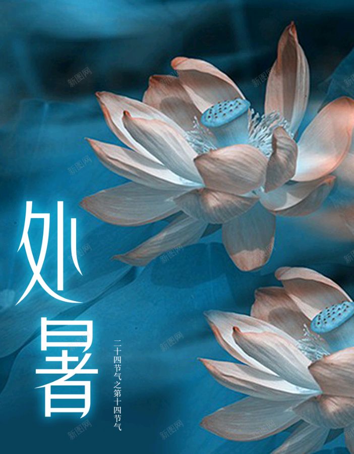 《九江文学社：北京头条》《处暑节气》专刊【总第1784期】（图28）
