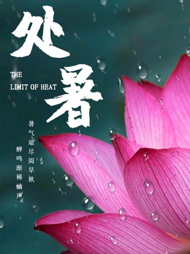 《九江文学社：北京头条》《处暑节气》专刊【总第1784期】（图6）