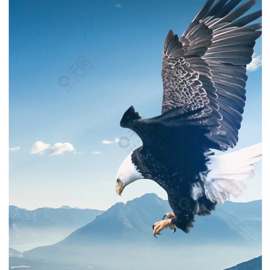 《雄鹰搏长空 玉峰傲苍穹》文：神马【长城总社】世界诗人名人展（10476）（图4）