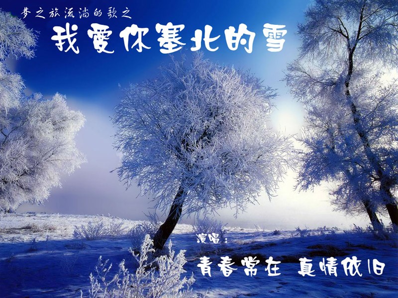【重磅推出】{军人本色}鲁坡//我爱你 塞北的雪(图2)