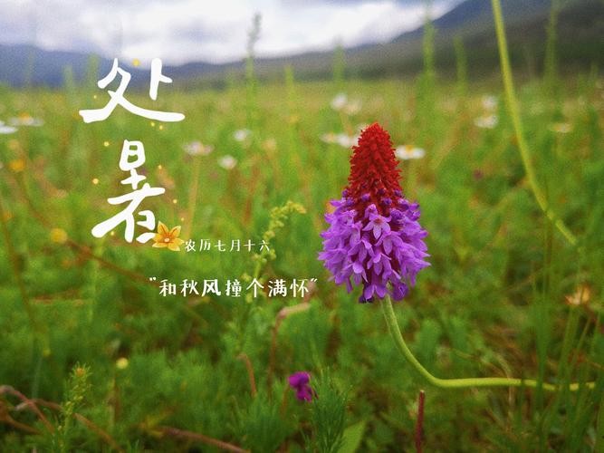 【经典推荐】曾培方//立秋｛系列作品展四首｝（图4）
