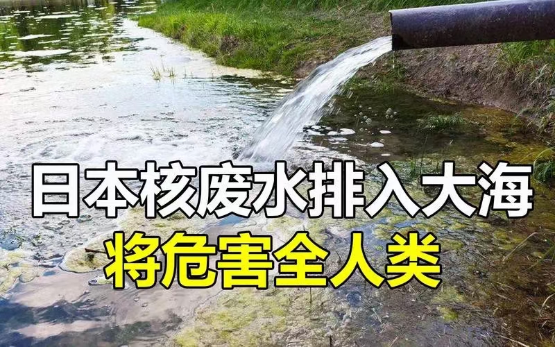 ［双调·秋江送］日本核废水今日开始排海（文/许碧霞）……莲叶之珠文学社（图4）