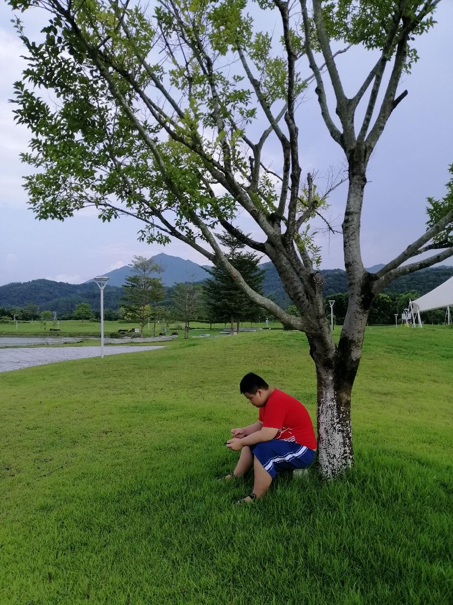 江冲七月秋七绝诗三首（图5）