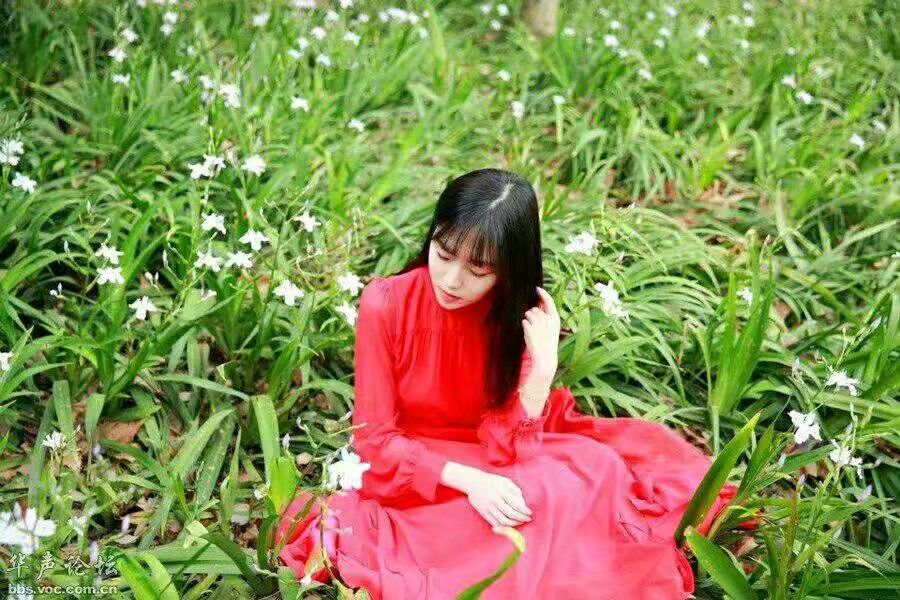 《丽人赋》作者/张九如主播/芉芊结主编/胡琴（图8）