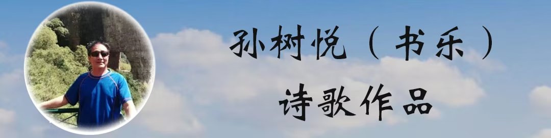 中华诗艺黑龙江分社微刊第183期(图43)