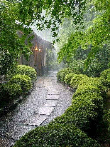 《听雨》作者:胡玉滨‖主播:李金钟【中国现代诗歌文化传媒】徜徉诗的海洋，聆听天籁之声♬（图6）