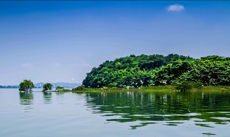 【荣耀中国】一斛珠·沈园情作者/崔宝霞（辽宁）（图2）