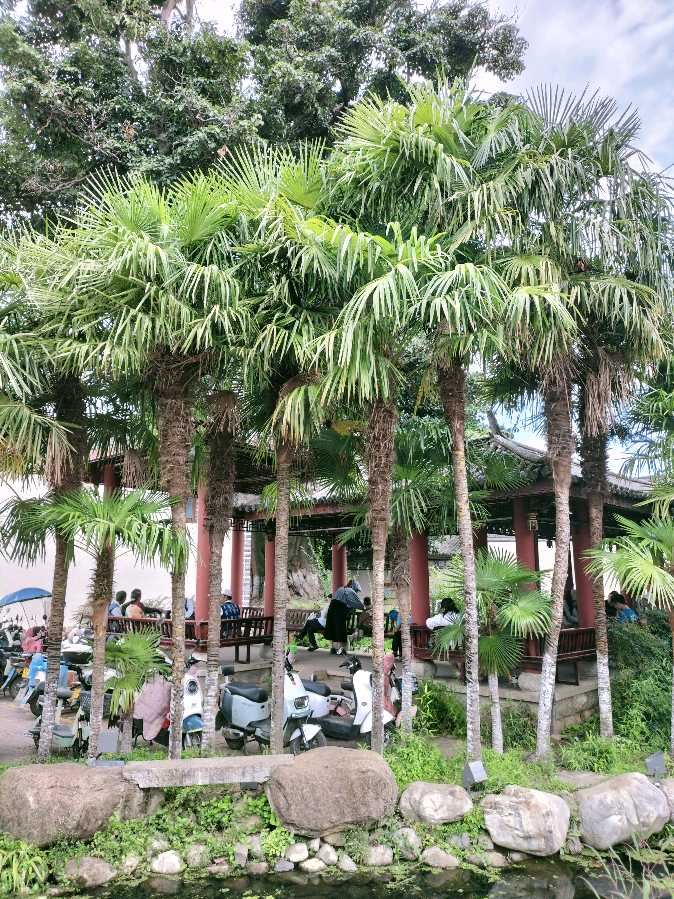 《九江文学社：北京头条》优秀诗人薛有毅先生近期部分诗作集萃【总第1786期】（图5）