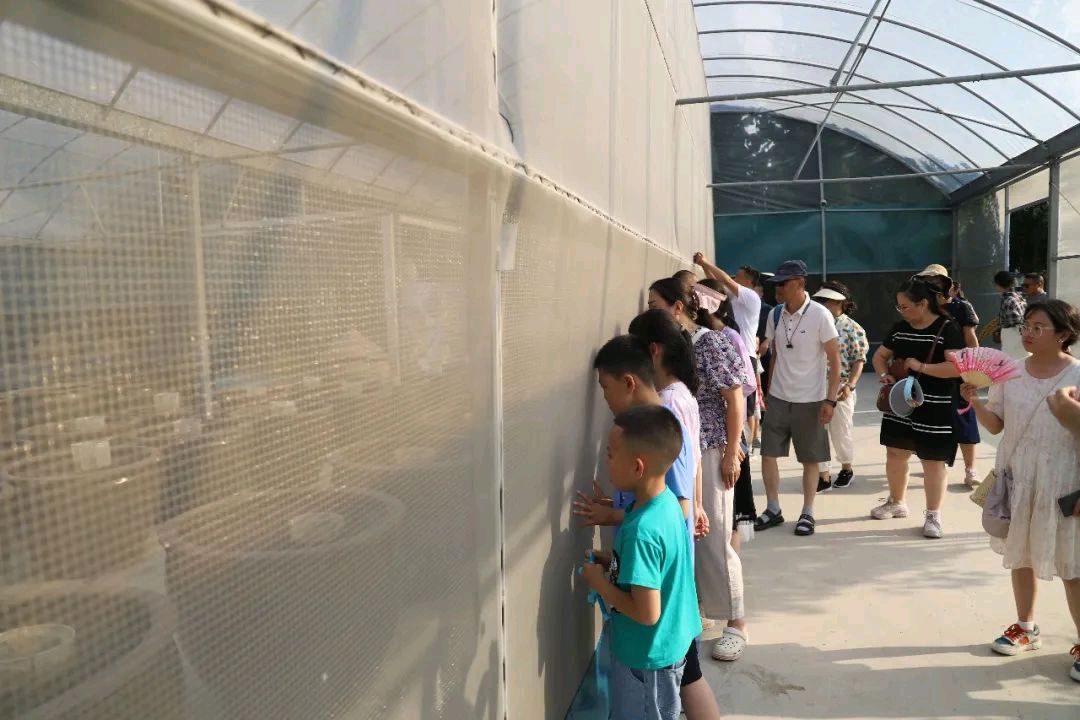 跨越山海·携手未来: 聊城—海北州“藏汉一家亲”结对联谊活动走进山东正信味业食品有限公司(图4)