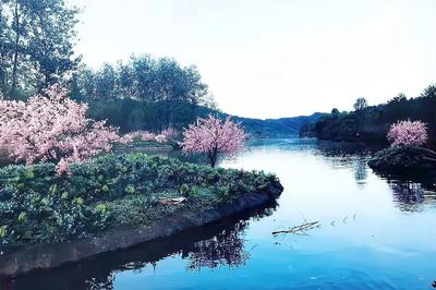 《七律·处暑‖出行记》作者:郭小林【中国现代诗歌文化传媒】古韵★展示（图14）