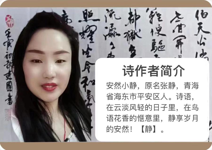 【名篇】上海青年朗诵艺术团举办安然小静专场诗歌诵读会//燃烧的石头团队（图4）