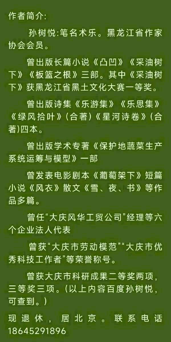 中华诗艺黑龙江分社微刊第185期(图64)
