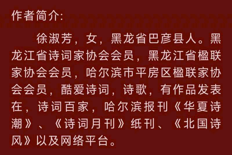 中华诗艺黑龙江分社微刊第185期(图68)