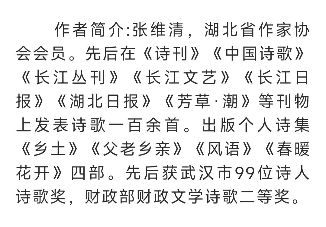 中华诗艺黑龙江分社微刊第185期(图76)