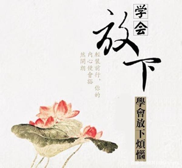 赵金波《金句》专集；收集:金华(李敬党)；编辑:开心快乐【运河之春】(第085期)（图6）
