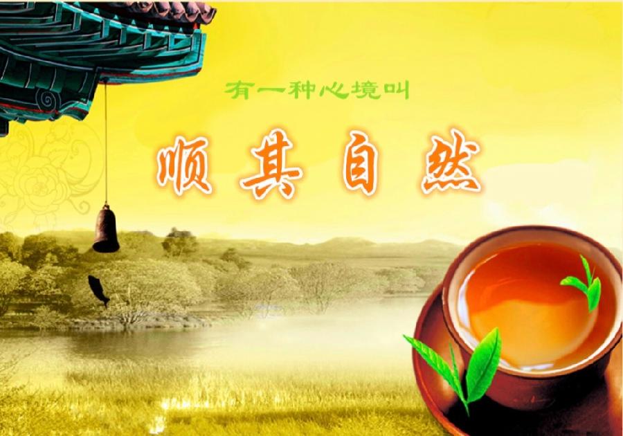 赵金波《金句》专集；收集:金华(李敬党)；编辑:开心快乐【运河之春】(第085期)（图7）