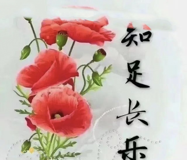 赵金波《金句》专集；收集:金华(李敬党)；编辑:开心快乐【运河之春】(第085期)（图10）