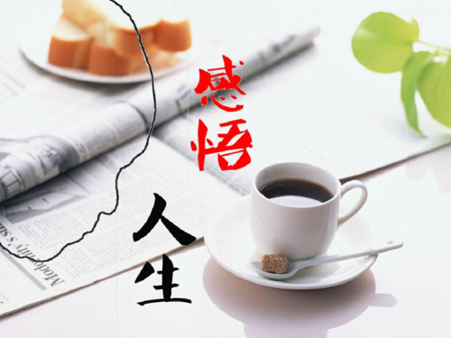 赵金波《金句》专集；收集:金华(李敬党)；编辑:开心快乐【运河之春】(第085期)（图11）