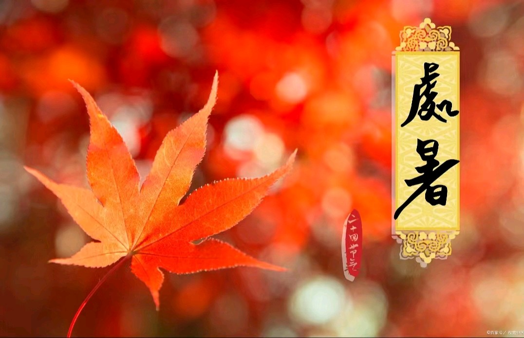 【荣耀中国】《 处 暑》 文/春雨（图2）