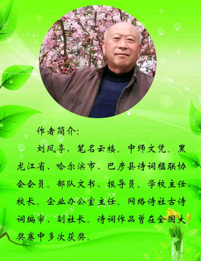 中华诗艺黑龙江分社微刊第187期(图39)