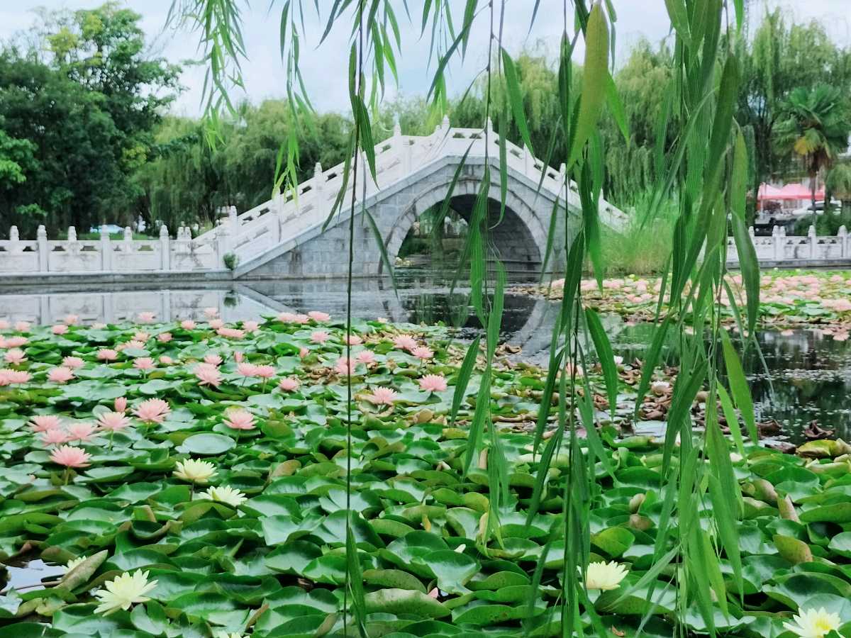 《世界名家》《九江文学社:北京头条》著名艺术家沈志昂先生近期美文及精美书法欣赏【总第1792期】(图16)
