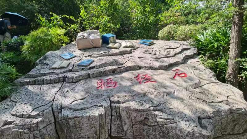 贵州自由行散记(之三)作者/天宫玉兔……莲叶之珠文学社(图19)