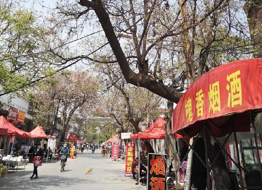 【新诗大观】苦寻不见好南关 却在身边藏多年||文/沈五群(图2)