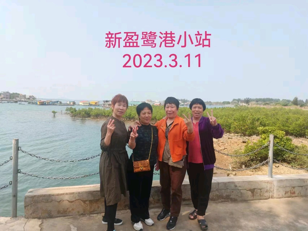 《同学知青情永聚》联机全球发布李辅庆作品欣赏（图24）