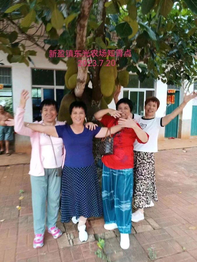 《同学知青情永聚》联机全球发布李辅庆作品欣赏（图21）