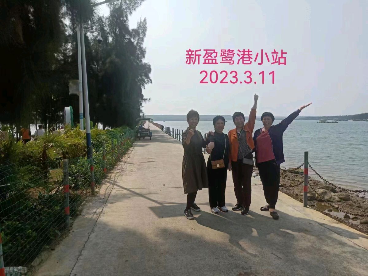《同学知青情永聚》联机全球发布李辅庆作品欣赏（图30）