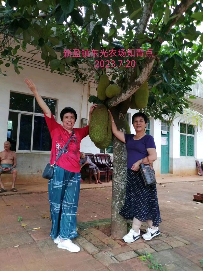 《同学知青情永聚》联机全球发布李辅庆作品欣赏（图12）