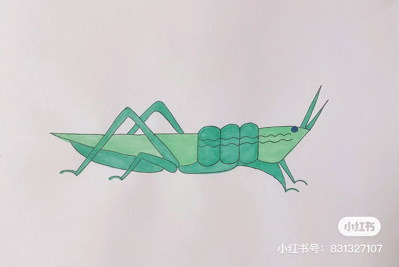娅莉彩色简笔画连载第十五辑（图19）