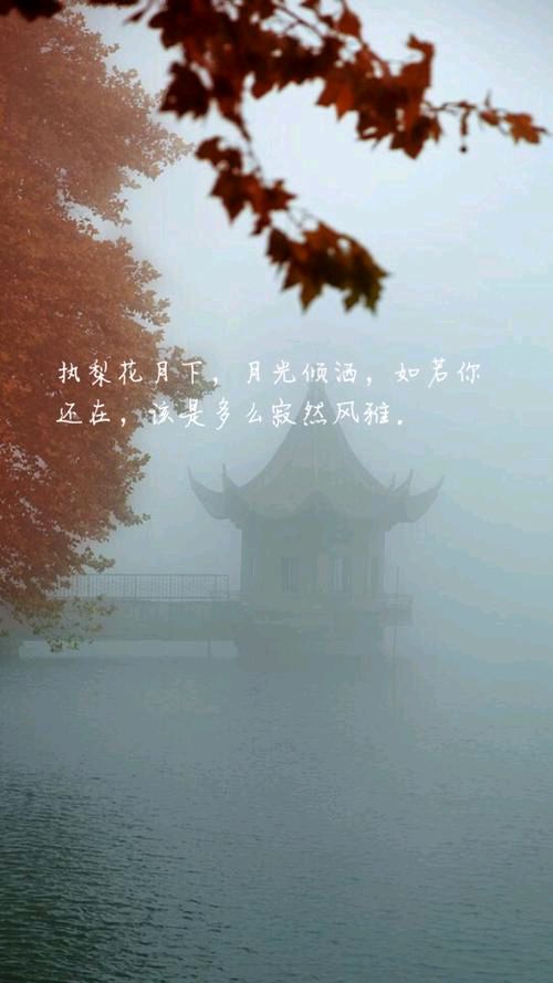 《秋绪》作者:梅子【主播:刘树清】【桃源国际诗歌集团】用声音传递温暖以诵读致敬人生♬（图9）