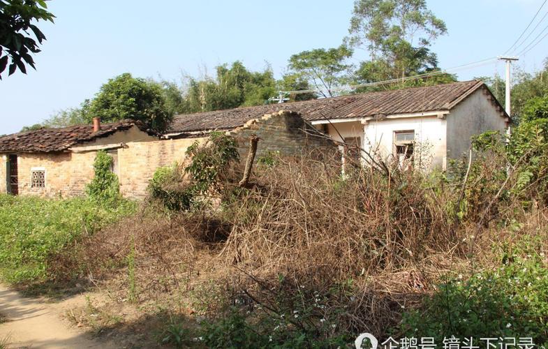 （纪实散文）故乡.房子.蝈蝈 作者：张永昌 诵读：兴安杜鹃（图4）
